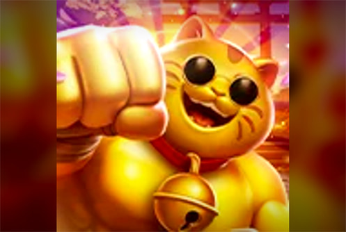 MUSCLE FORTUNE CAT