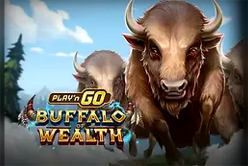 Play'n GO Buffalo of Wealth