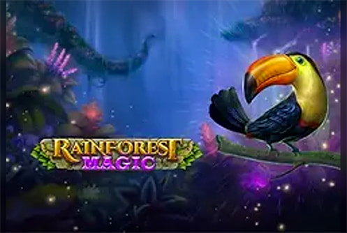 Rainforest Magic